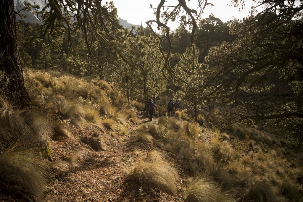 Tour Pico de Orizaba - Ruta Sur | Turismo de Aventura en las Altas Montañas