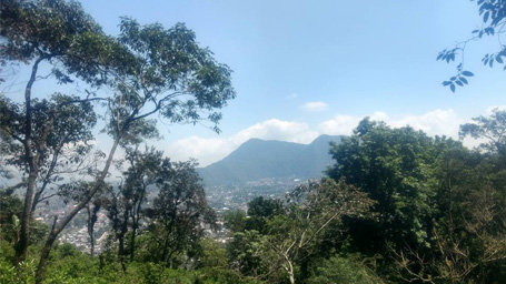 Sendero del Cerro del Borrego - Ruta del Patrimonio Natural | Cultura