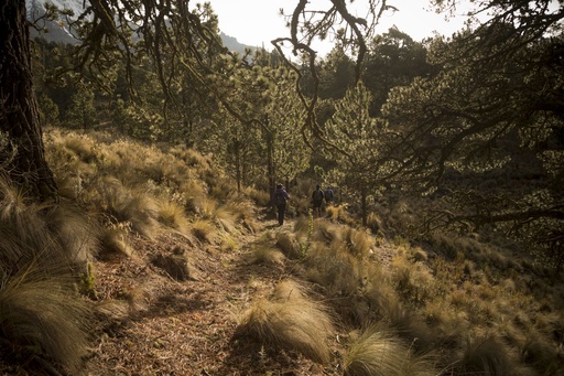 Tour Pico de Orizaba - Ruta Sur | Turismo de Aventura en las Altas Montañas